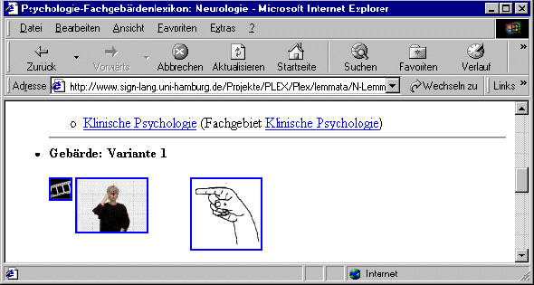 Browser-Fenster: Automatischer Start